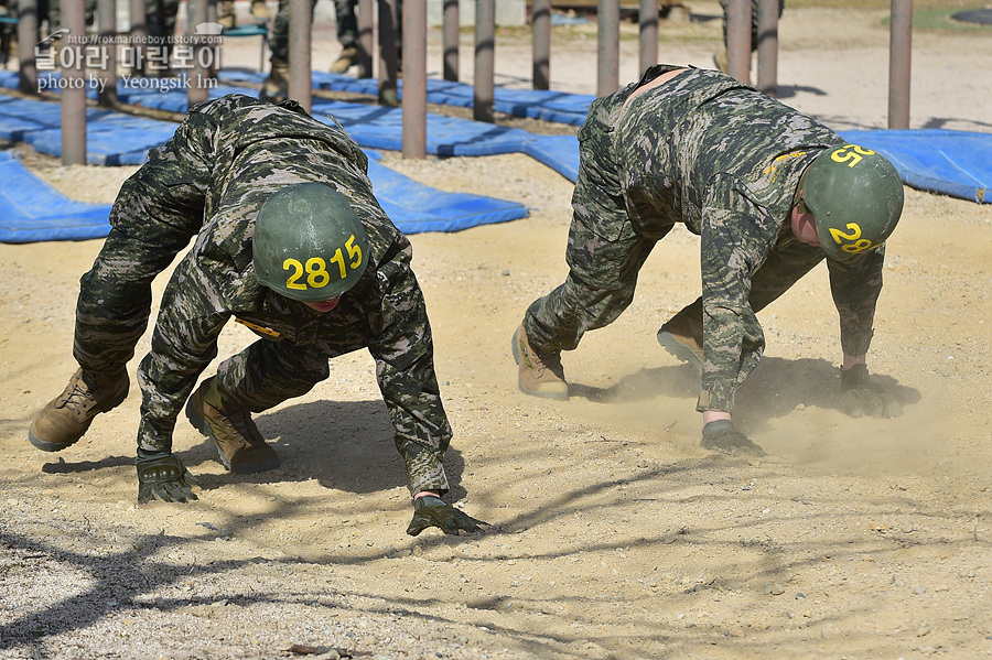 신병1315기_2교육대_장애물2_7700.jpg