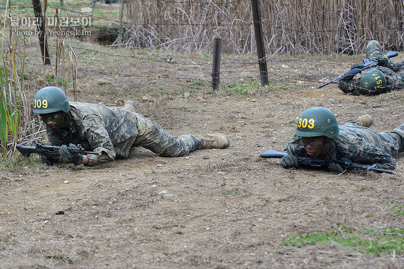 신병1311기1교육대5_각개전투_3112.jpg