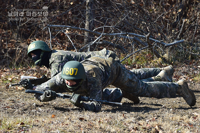 신병1313기_1교육대_극기주_각개전투_5143.jpg