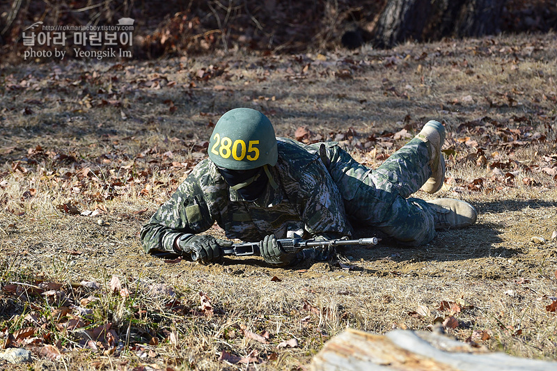 신병1313기_2교육대_극기주_각개전투_5328.jpg